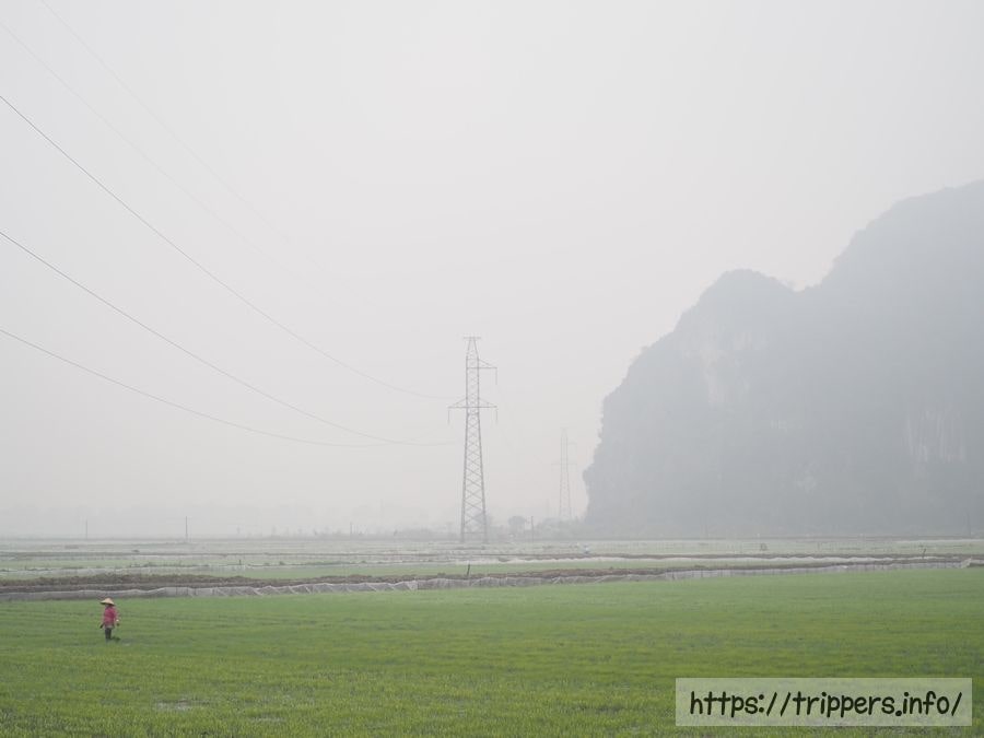 ニンの景色ビン