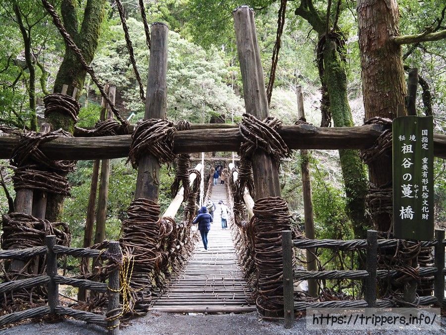 祖谷のかずら橋