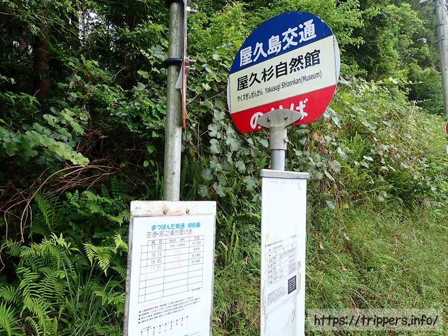 屋久杉自然館バス停