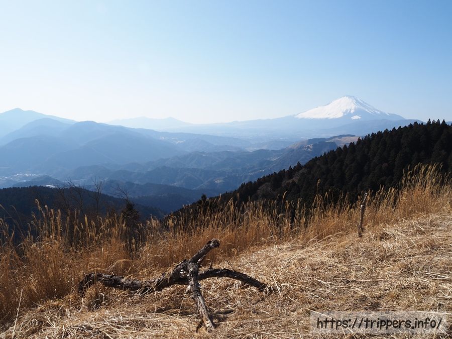 高松山 シダンゴ山
