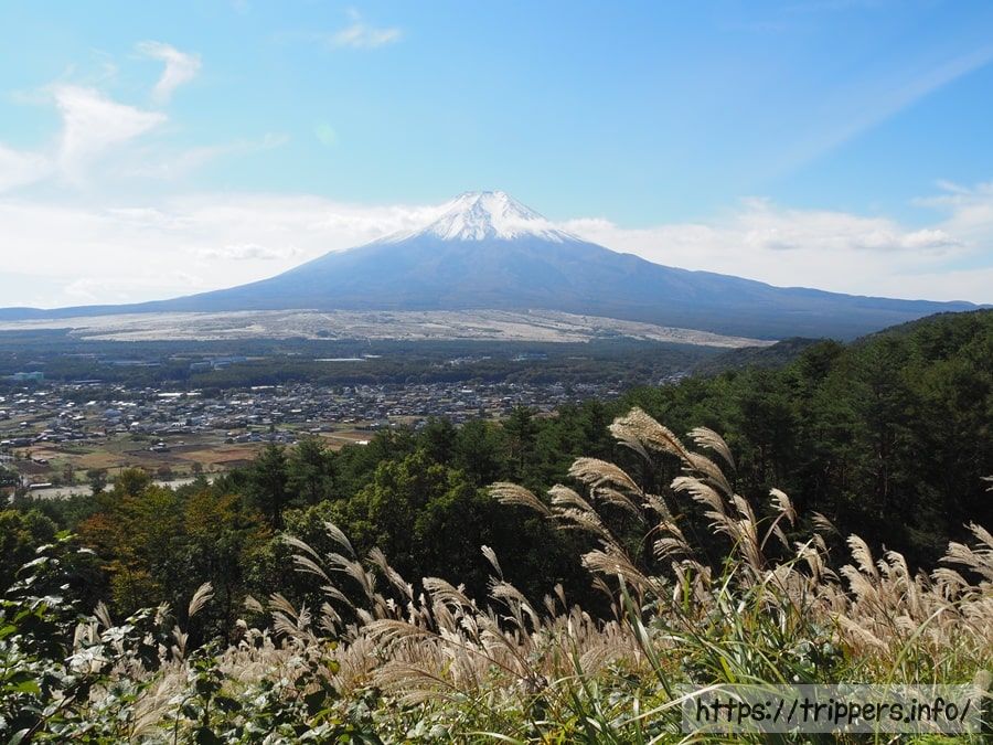 富士山とススキ
