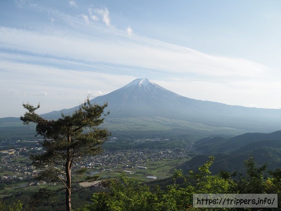 高座山から見た富士山
