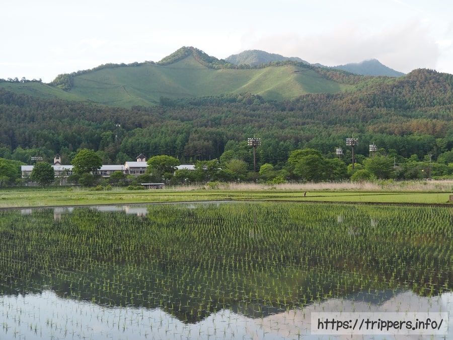 田んぼの水面に映った高座山