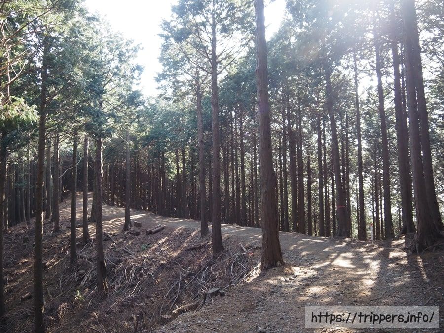 関東ふれあいの道