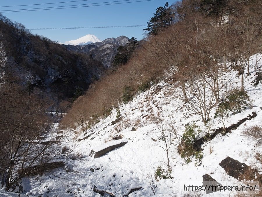 丹沢から見た富士山と雪景色