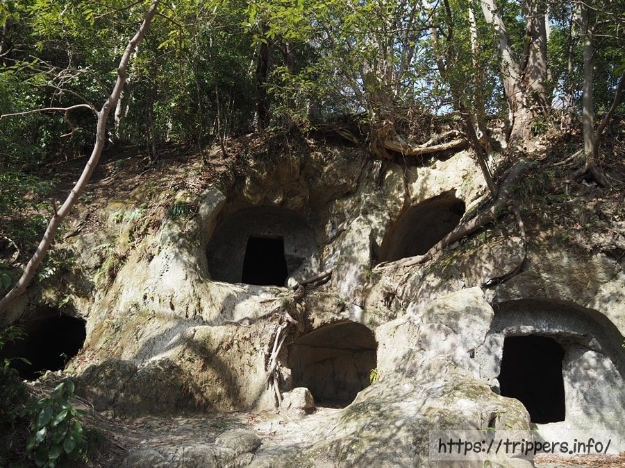 楊谷寺谷戸横穴群