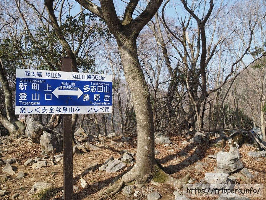 鈴鹿300座の丸山