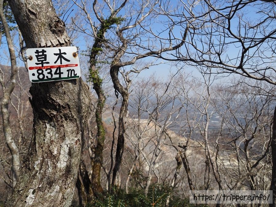 鈴鹿山脈の草木