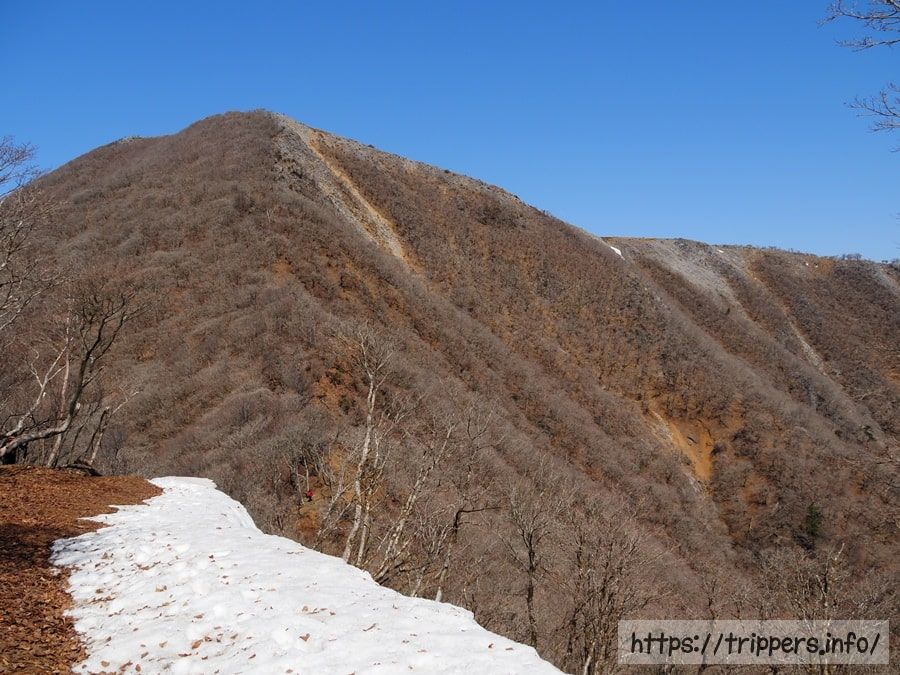 孫太尾根から見た藤原岳の山頂