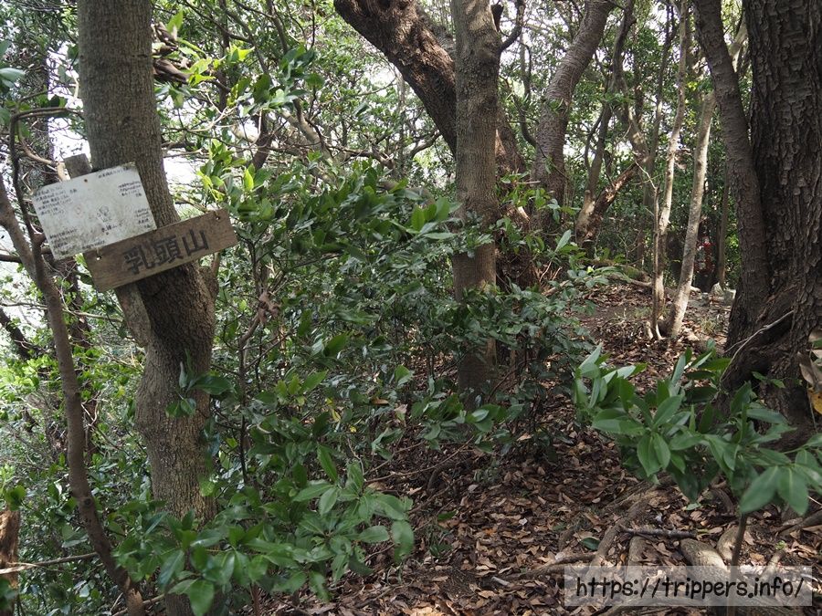 三浦アルプスの乳頭山