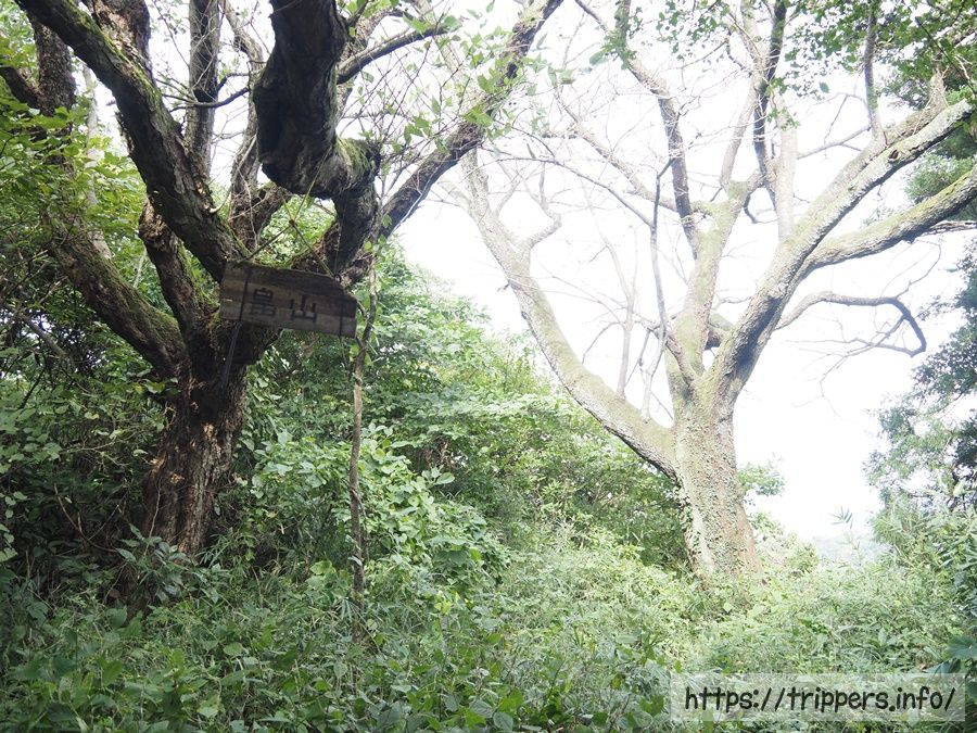 三浦アルプスの畠山