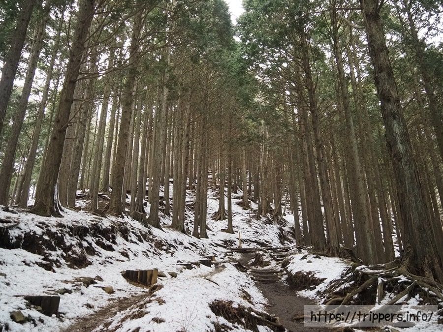 丹沢の積雪した登山道