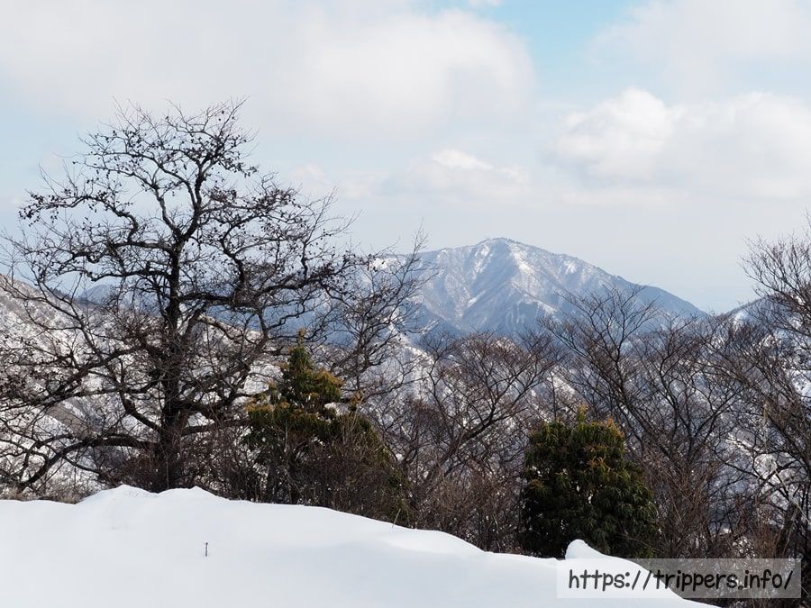 丹沢の大山