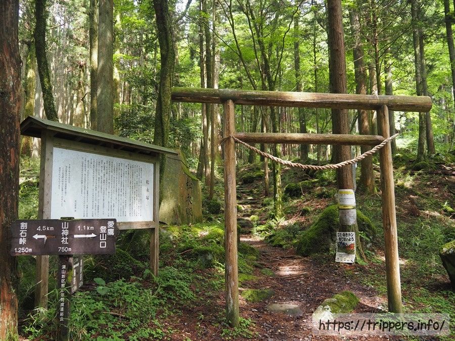 須山愛鷹登山口