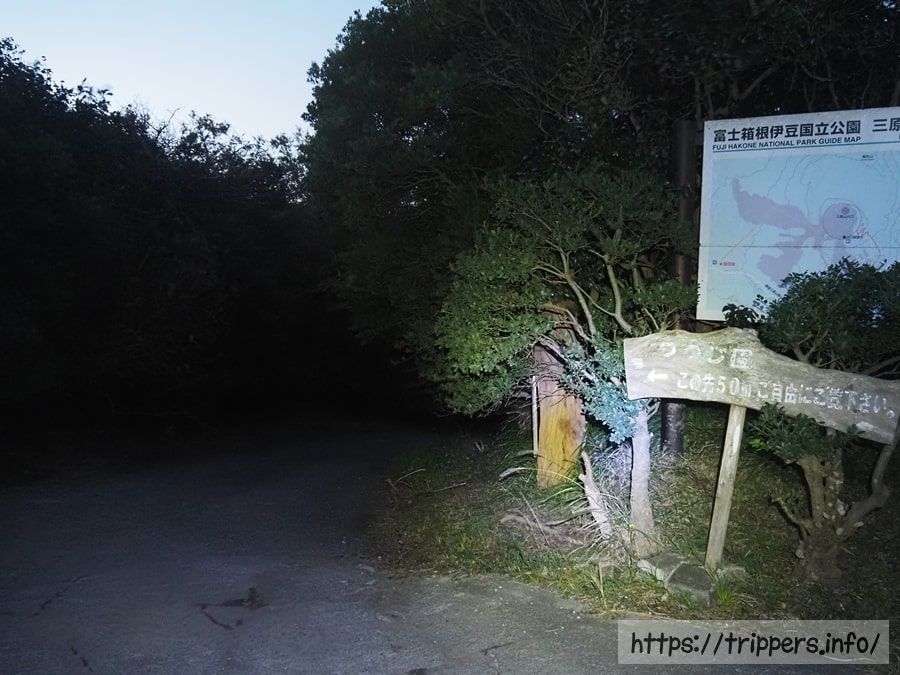 こもれびトンネル