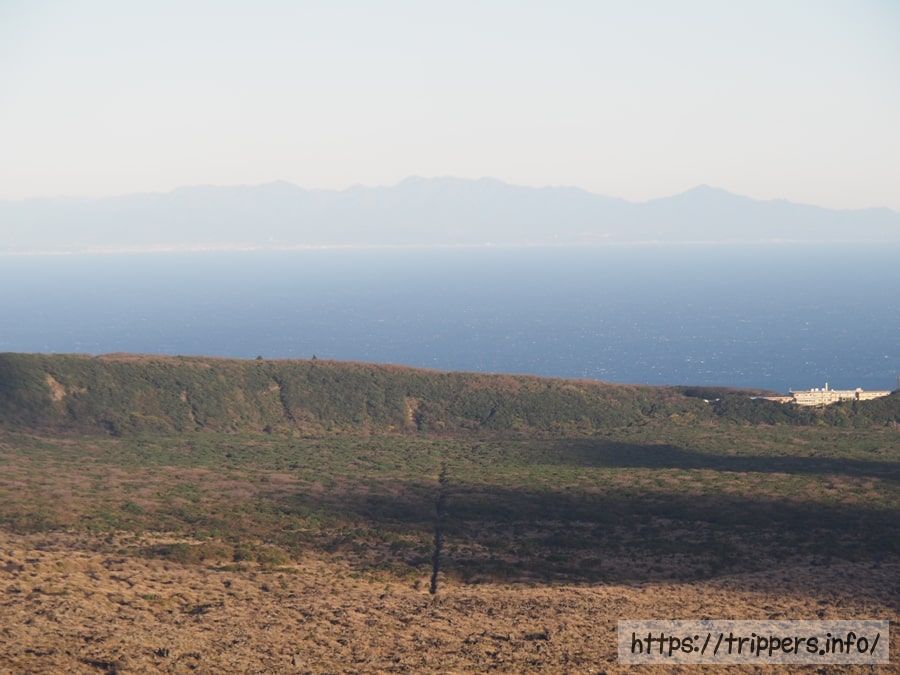 いつか森になる道