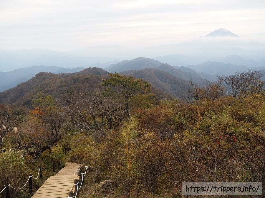 大倉尾根の紅葉