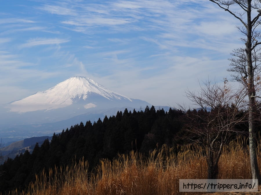 松田山 高松山